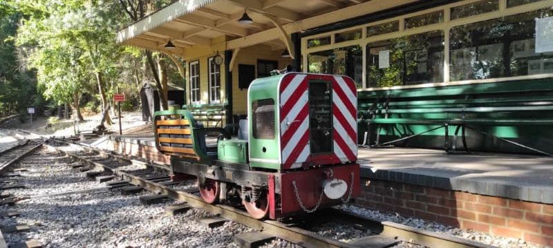 No. 2981 'Sue'